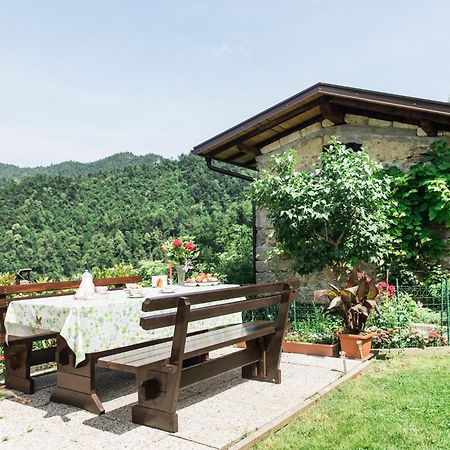 Pocitniska Hisa Pologar Guest House Tolmin Exterior photo
